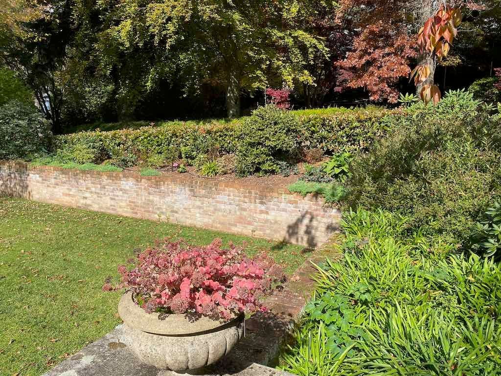 May 2023 Bathurst Mayfield Garden Tour Image -64605bb783753